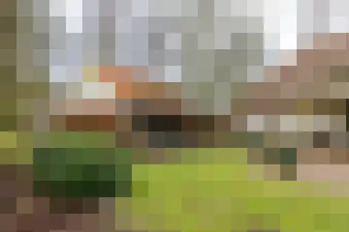 Bultensweg 13 Doetinchem thumbnail 60