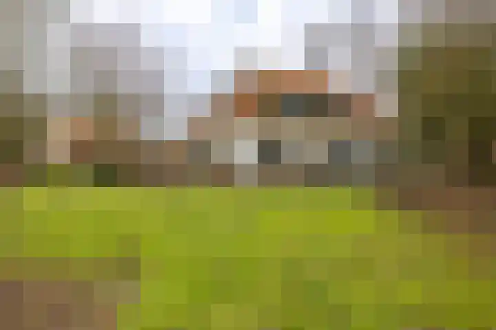 Bultensweg 13 Doetinchem thumbnail 62