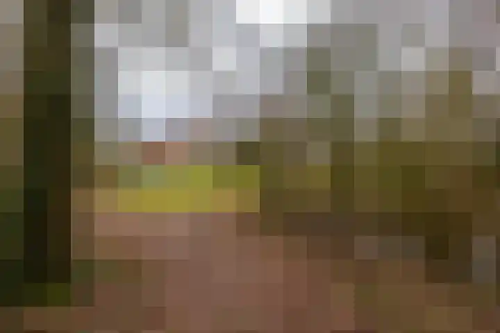 Bultensweg 13 Doetinchem thumbnail 64