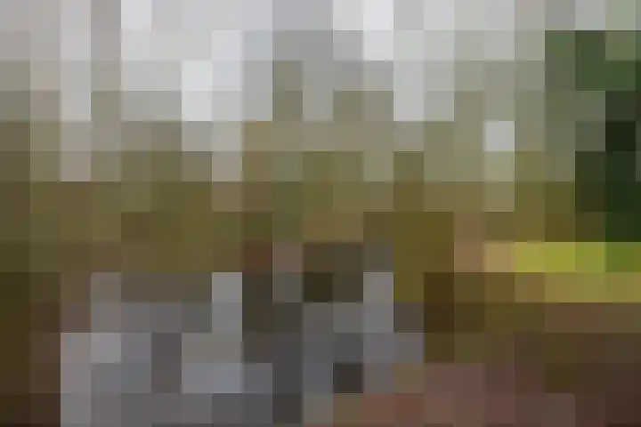Bultensweg 13 Doetinchem thumbnail 65
