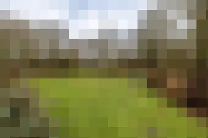 Bultensweg 13 Doetinchem thumbnail 66