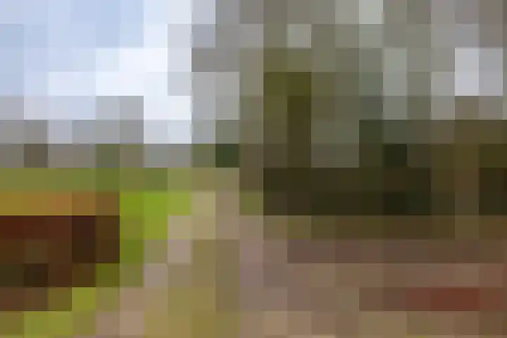 Bultensweg 13 Doetinchem thumbnail 69