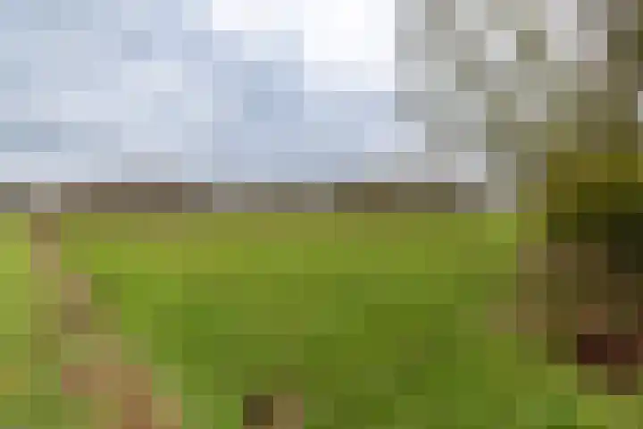 Bultensweg 13 Doetinchem thumbnail 70