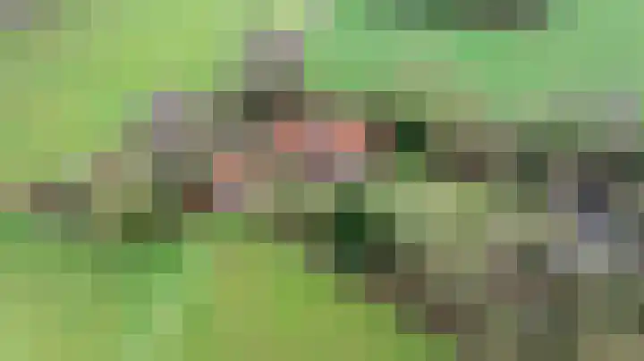 Bultensweg 13 Doetinchem thumbnail 78