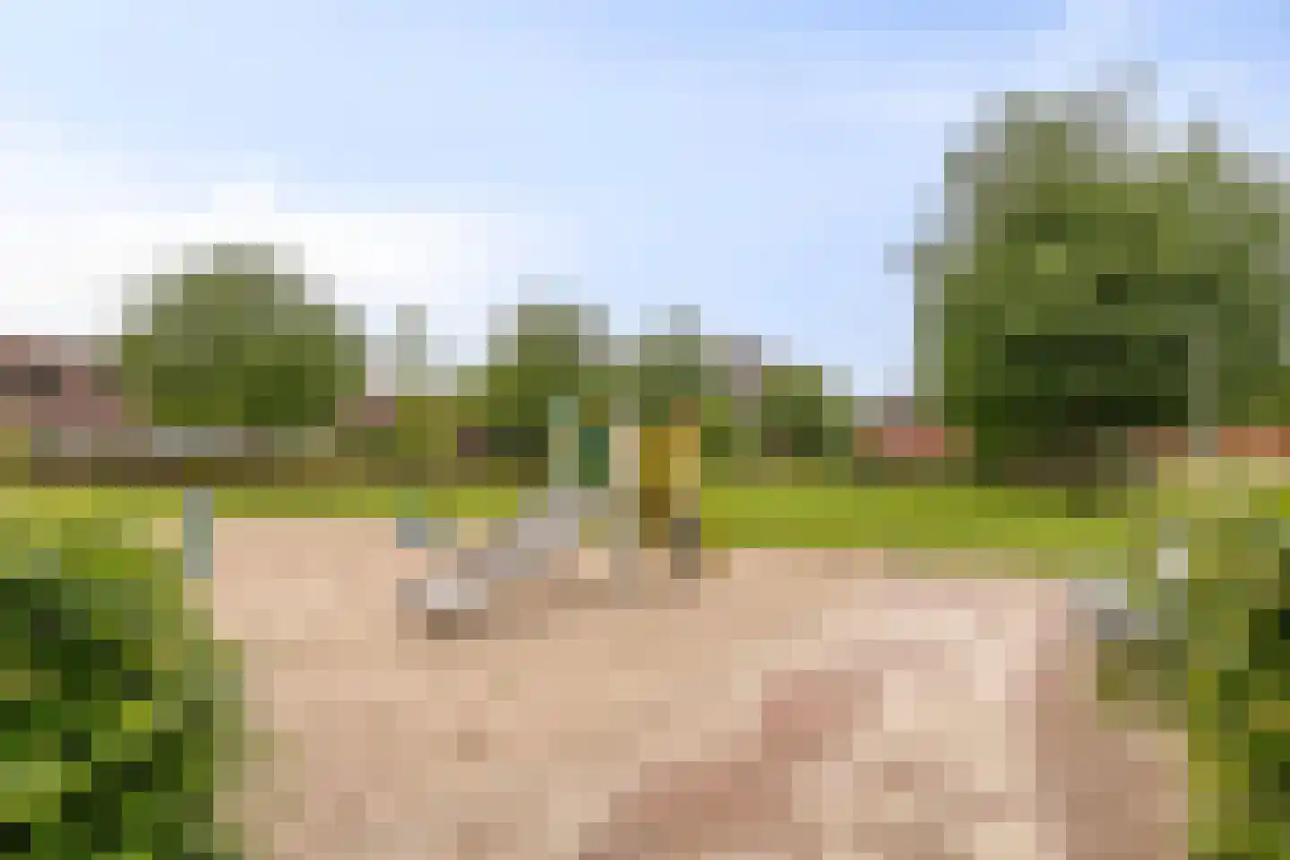 Bultkroos 114 Zwolle thumbnail 41