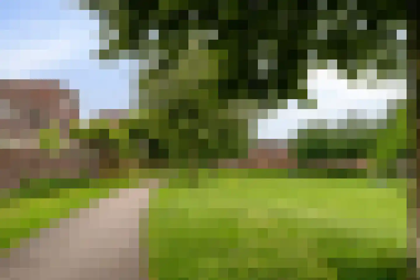 Bultkroos 114 Zwolle thumbnail 43