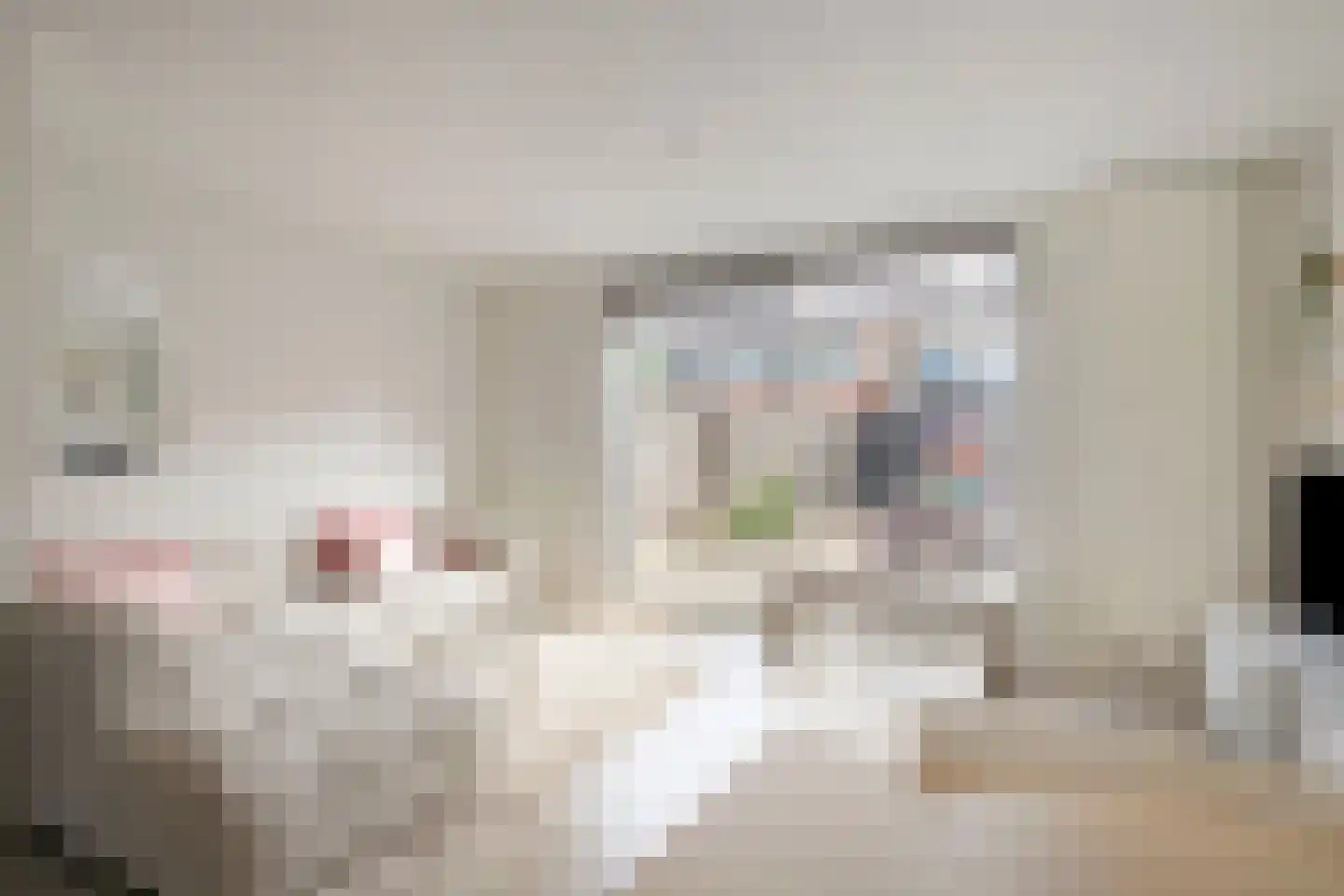 Bultkroos 114 Zwolle thumbnail 6