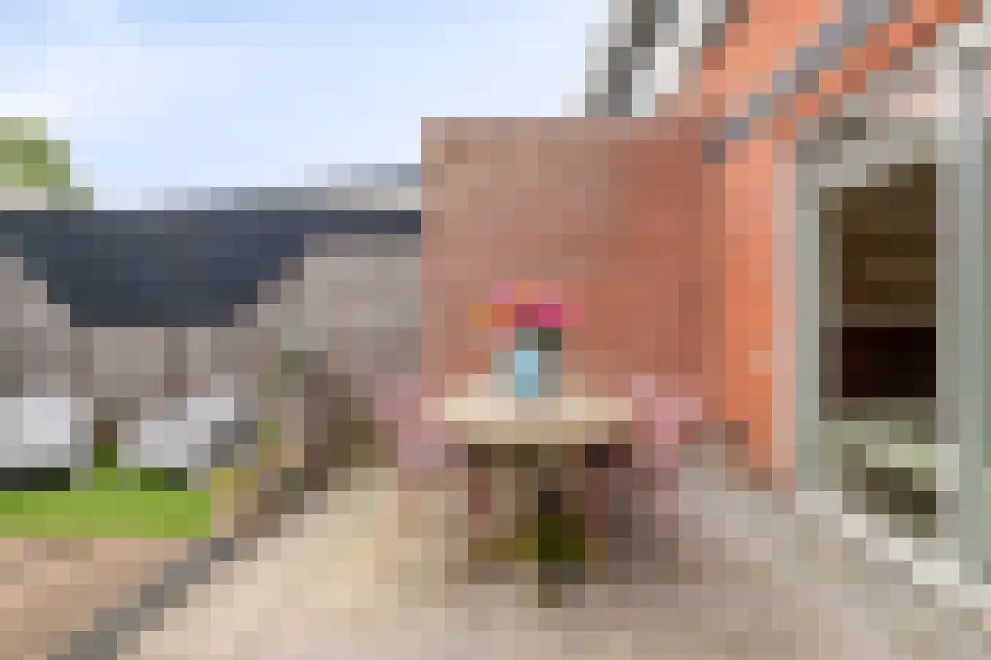Bultkroos 114 Zwolle thumbnail 69