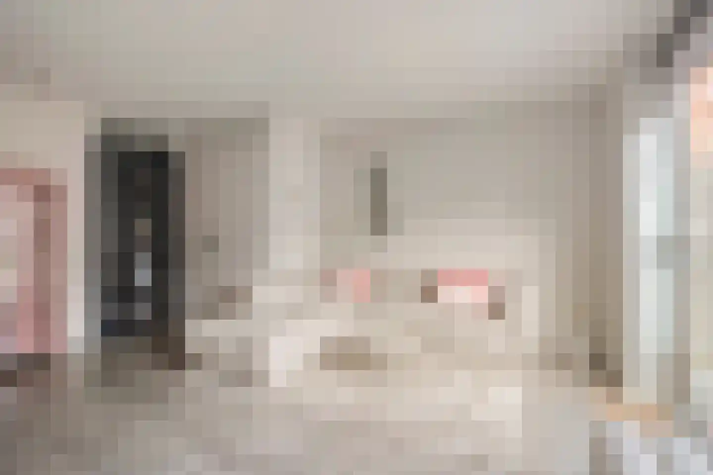Bultkroos 114 Zwolle thumbnail 7