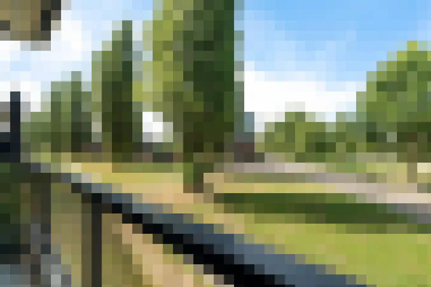 Bultkroos 151 Zwolle thumbnail 8