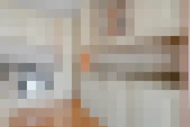 Bultkroos 155 Zwolle thumbnail 11