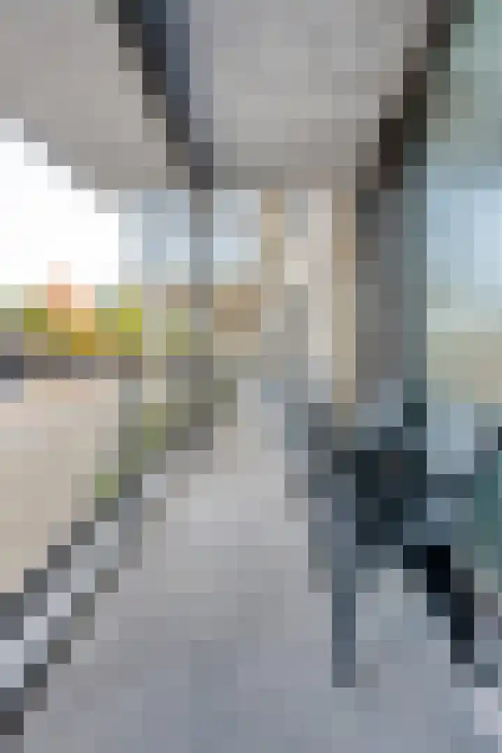 Bultkroos 155 Zwolle thumbnail 24