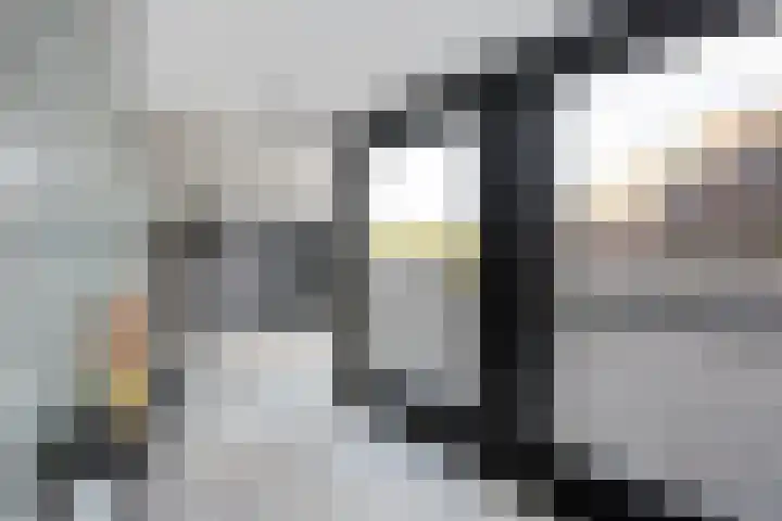 Bultkroos 155 Zwolle thumbnail 25