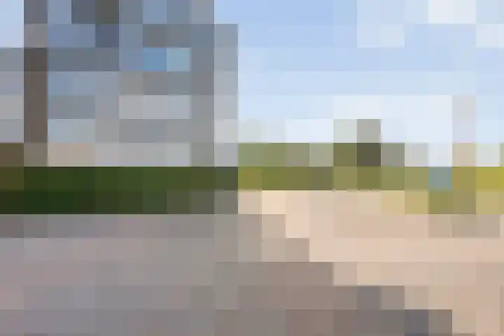Bultkroos 155 Zwolle thumbnail 27