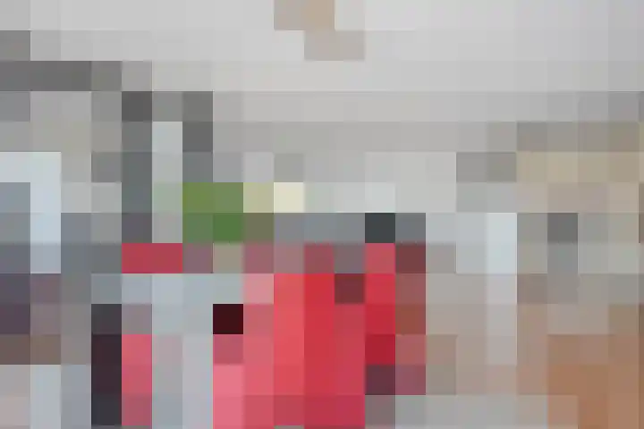 Bultkroos 155 Zwolle thumbnail 9