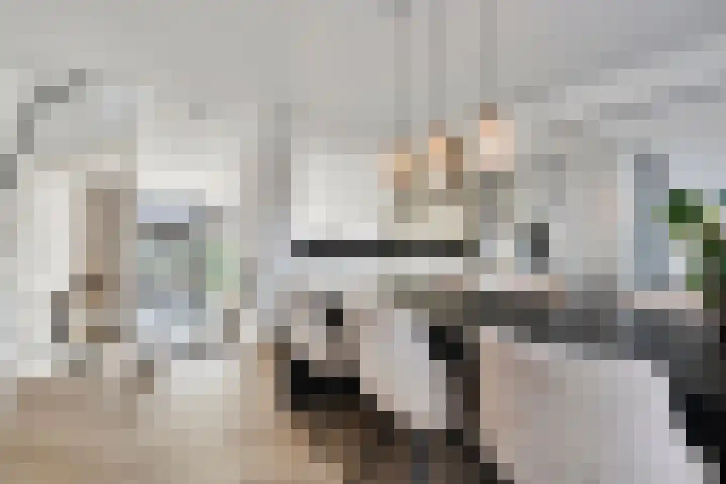 Bultkroos 23 Zwolle thumbnail 20