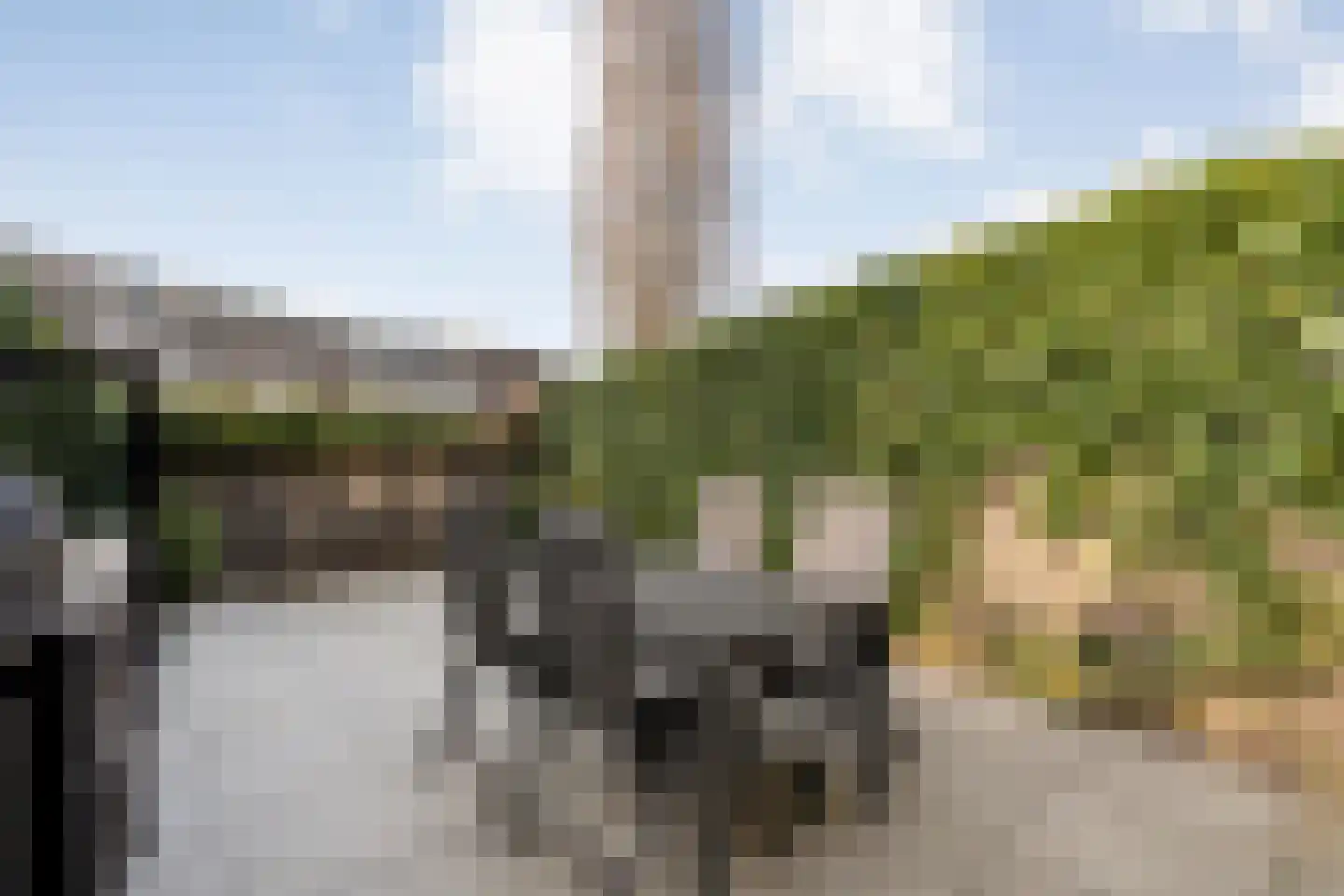 Bultkroos 23 Zwolle thumbnail 38