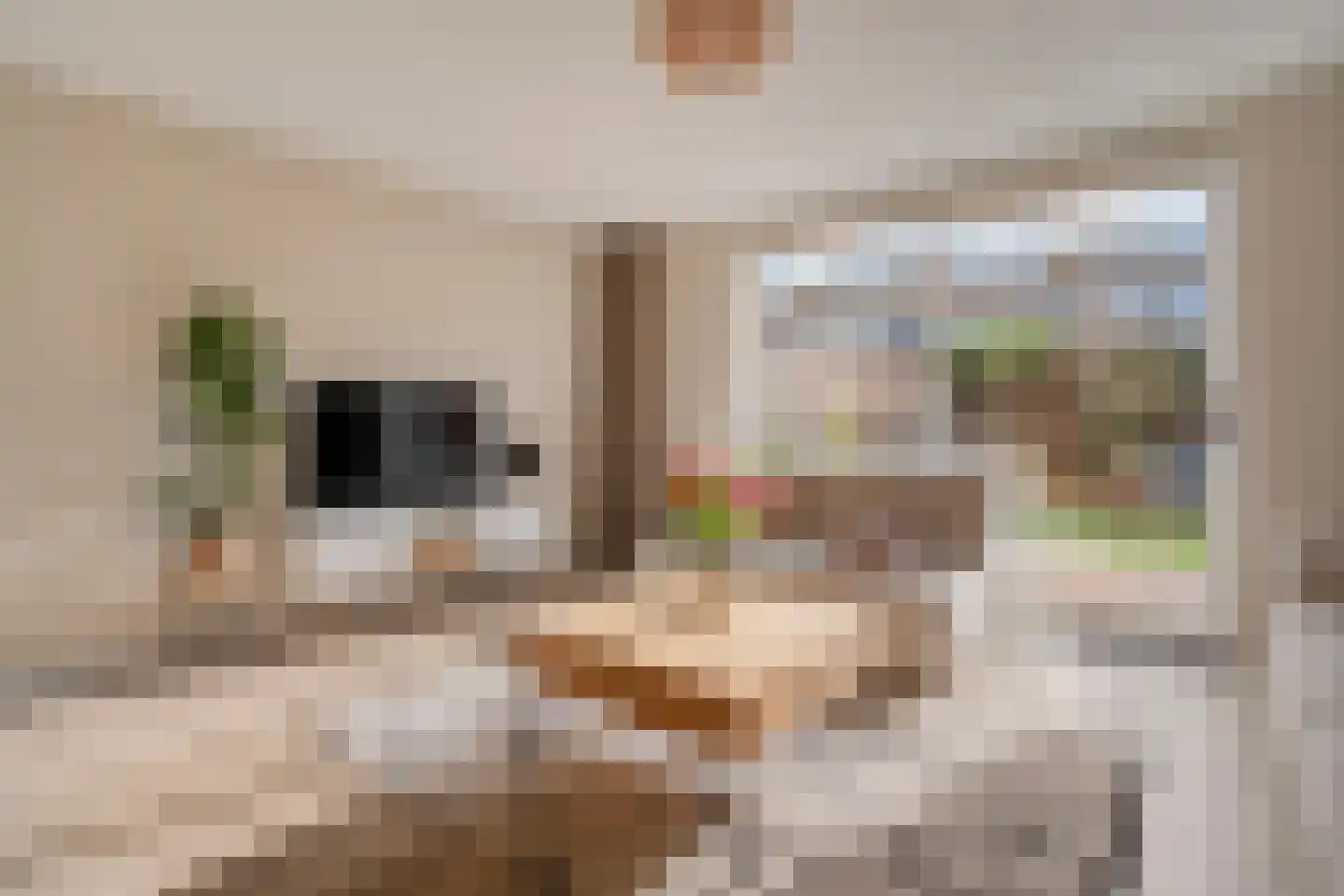 Bultkroos 62 Zwolle thumbnail 11