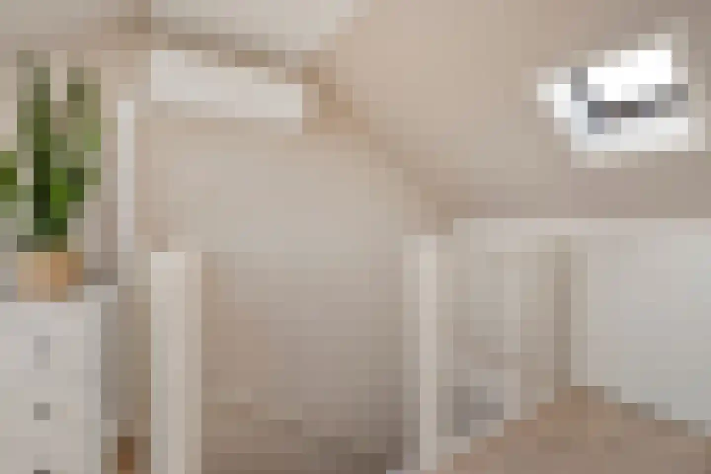 Bultkroos 62 Zwolle thumbnail 31