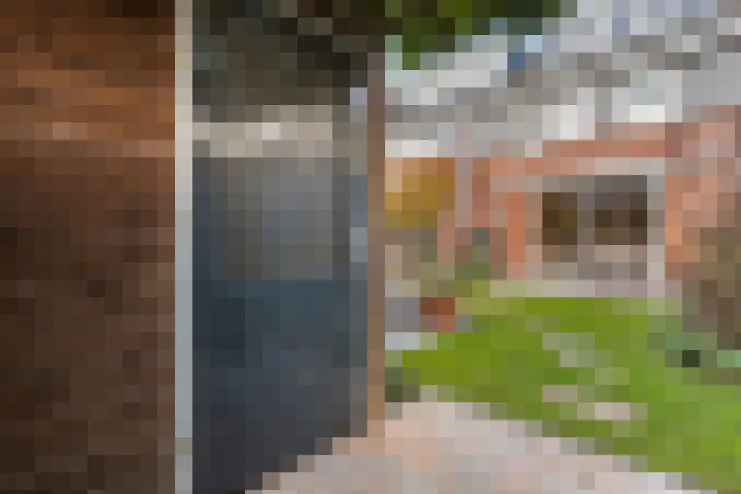 Bultkroos 62 Zwolle thumbnail 43