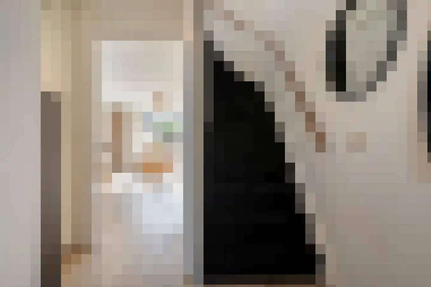Bultkroos 62 Zwolle thumbnail 8
