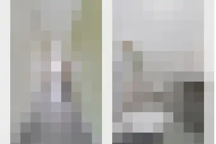 Bultkroos 79 Zwolle thumbnail 11