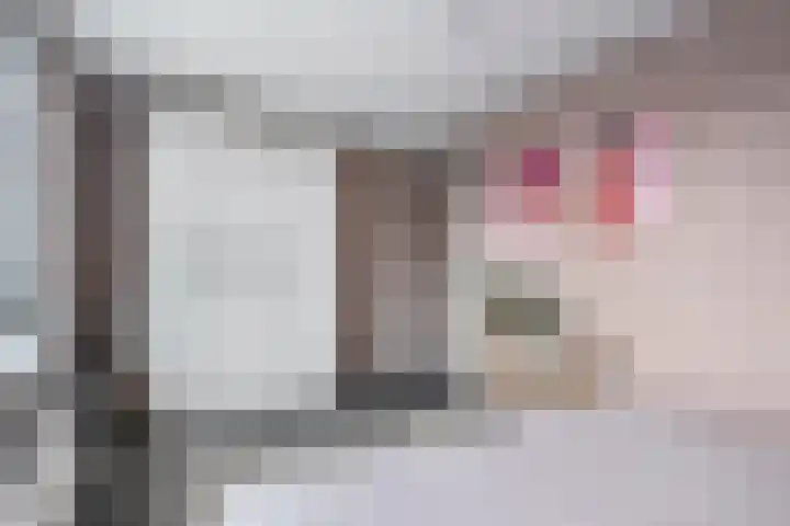Bultkroos 79 Zwolle thumbnail 14