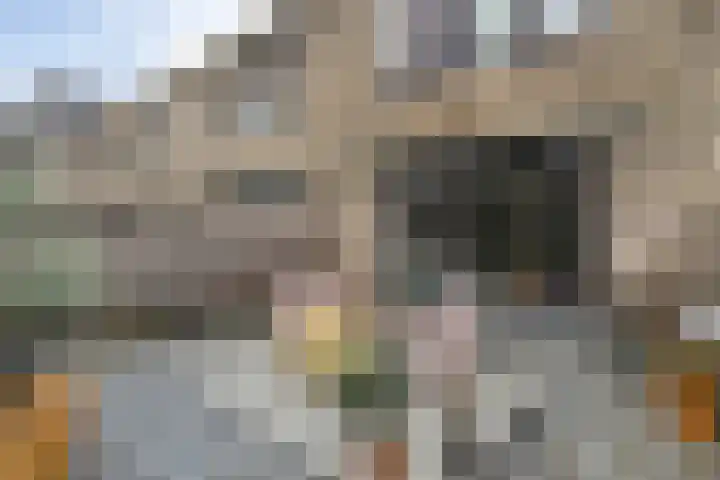 Bultkroos 79 Zwolle thumbnail 23