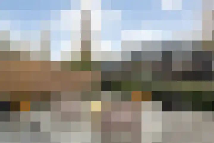 Bultkroos 79 Zwolle thumbnail 24