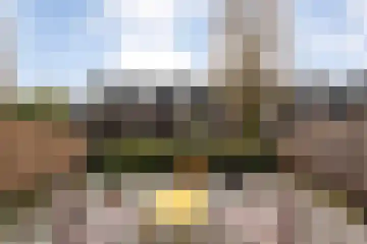 Bultkroos 79 Zwolle thumbnail 25