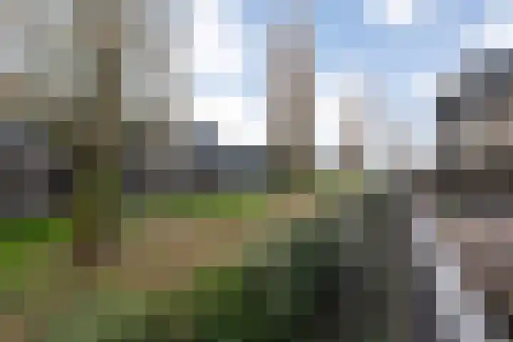 Bultkroos 79 Zwolle thumbnail 26