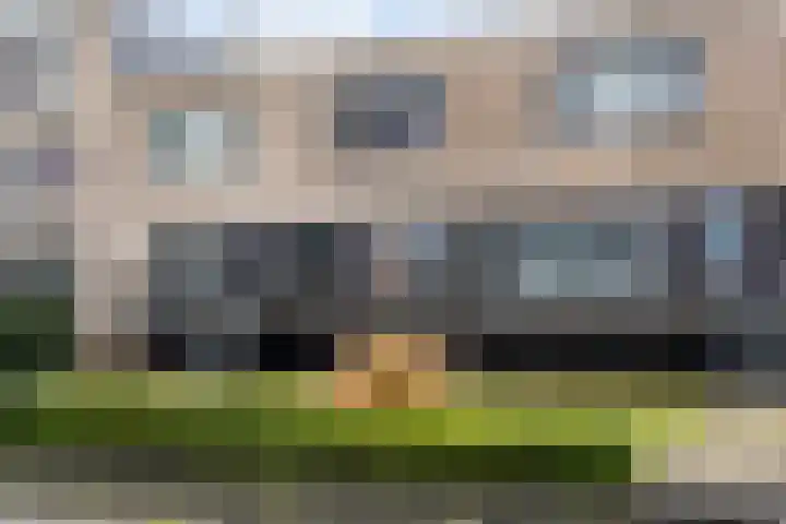 Bultkroos 79 Zwolle thumbnail 31