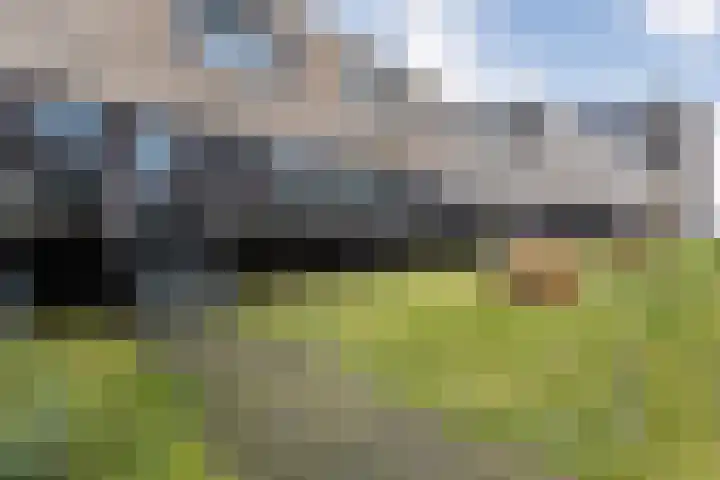 Bultkroos 79 Zwolle thumbnail 32
