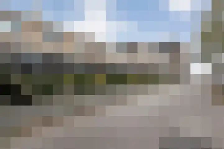 Bultkroos 79 Zwolle thumbnail 33