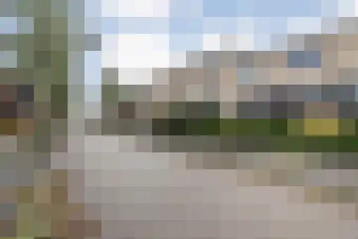 Bultkroos 79 Zwolle thumbnail 34