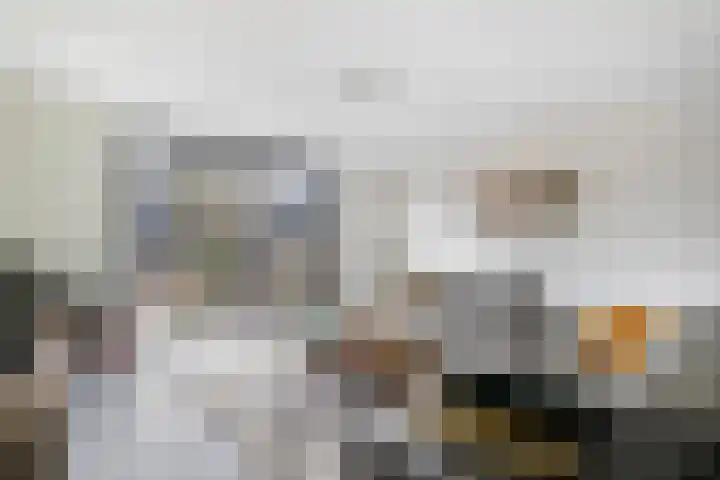 Bultkroos 79 Zwolle thumbnail 4