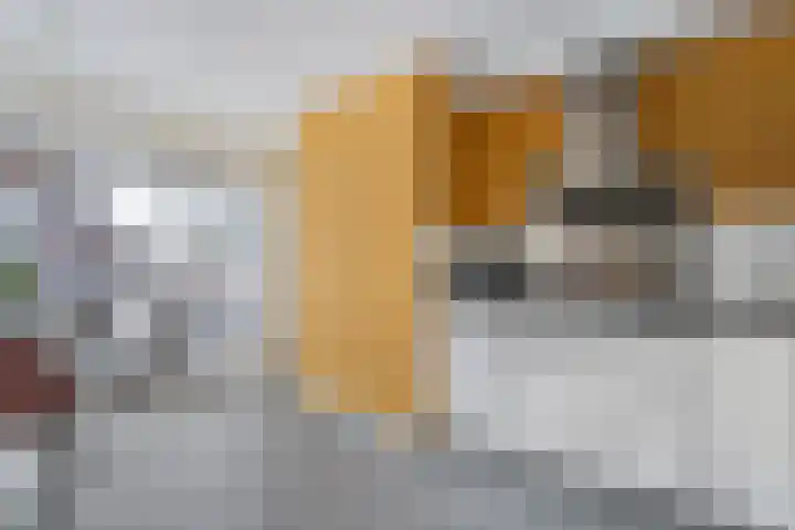 Bultkroos 79 Zwolle thumbnail 5