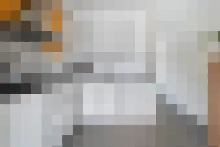 Bultkroos 79 Zwolle thumbnail 6
