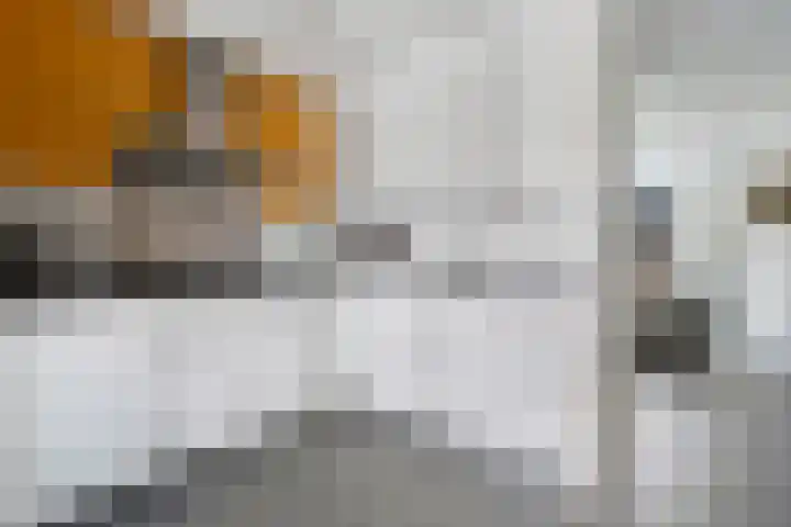 Bultkroos 79 Zwolle thumbnail 7