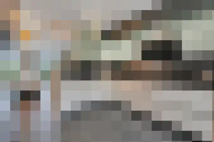 Bultkroos 99 Zwolle thumbnail 11