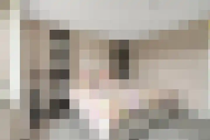 Bultkroos 99 Zwolle thumbnail 17
