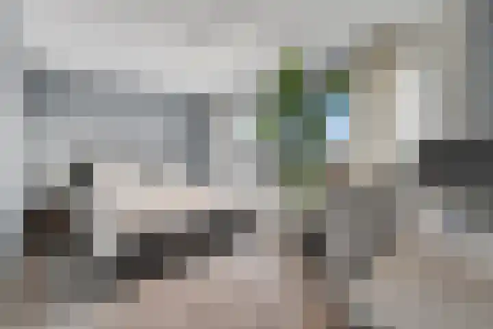 Bultkroos 99 Zwolle thumbnail 20