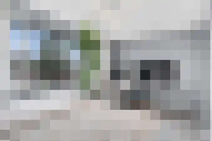 Bultkroos 99 Zwolle thumbnail 21