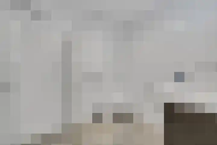 Bultkroos 99 Zwolle thumbnail 22