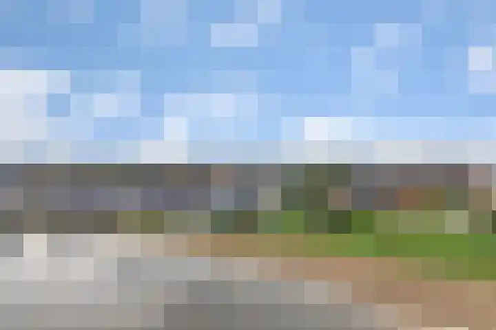 Bultkroos 99 Zwolle thumbnail 24