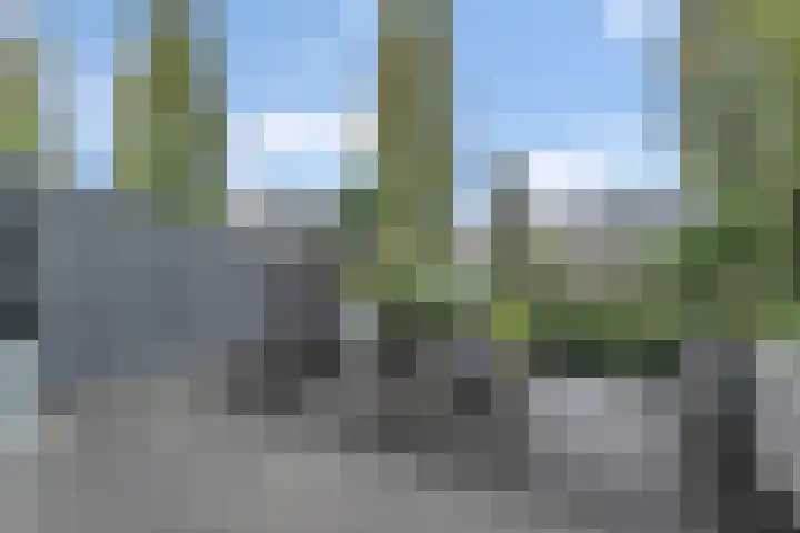 Bultkroos 99 Zwolle thumbnail 26