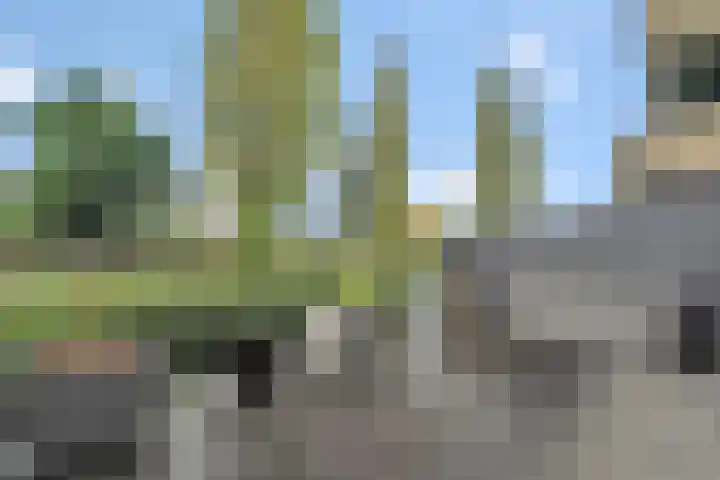 Bultkroos 99 Zwolle thumbnail 27