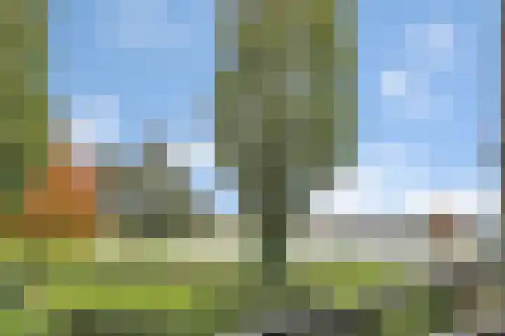 Bultkroos 99 Zwolle thumbnail 29