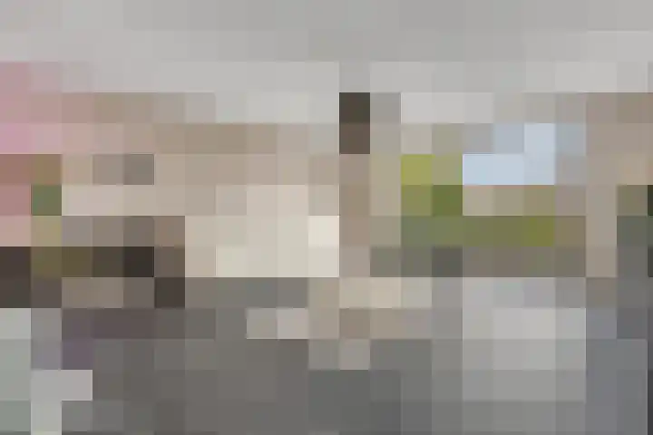 Bultkroos 99 Zwolle thumbnail 5