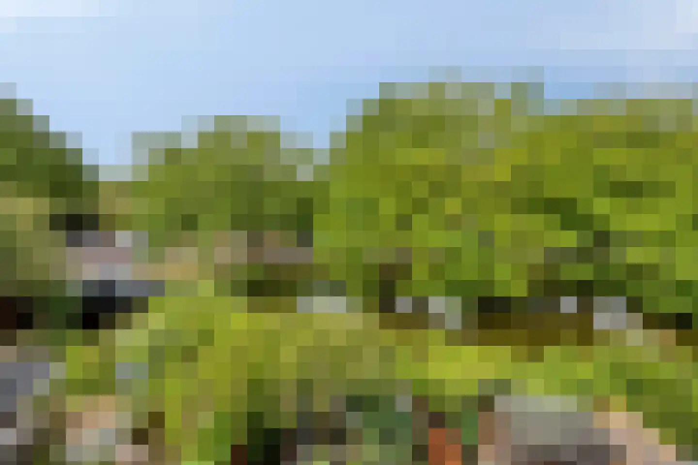 Bultrugpad 37 Amsterdam thumbnail 10